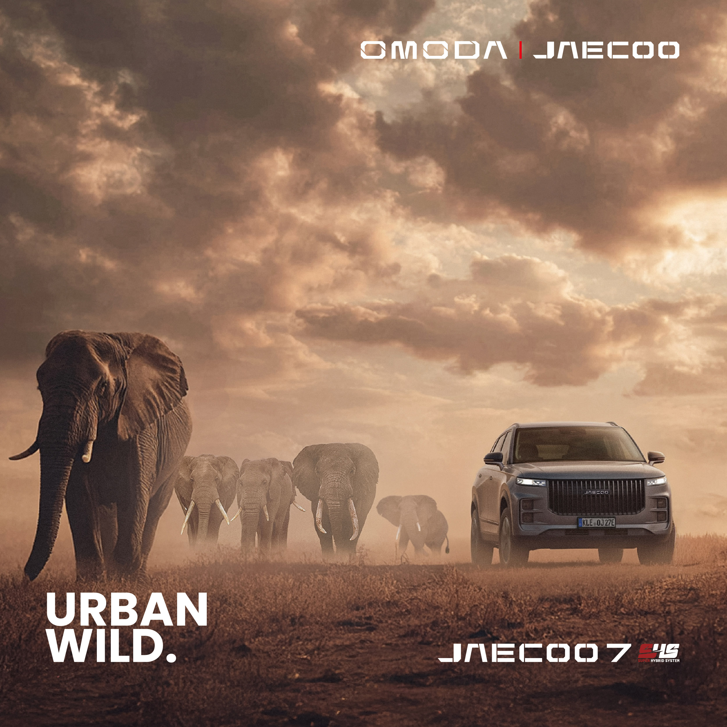 facebook Design 动物篇 03